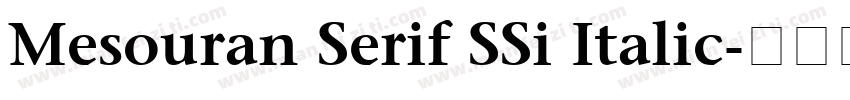 Mesouran Serif SSi Italic字体转换